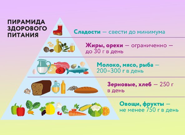 Правильное питание школьника.