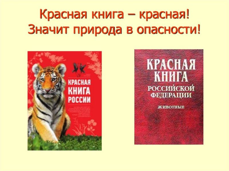 Что такое Красная книга?.