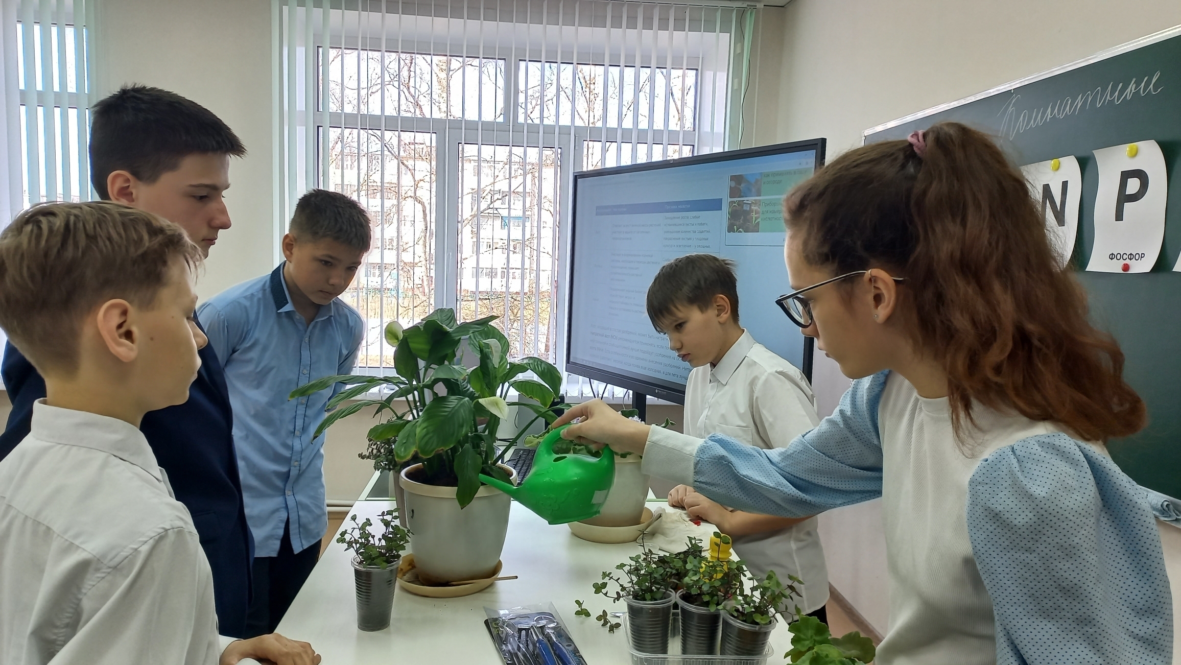 Функциональная грамотность: естественно-научная.