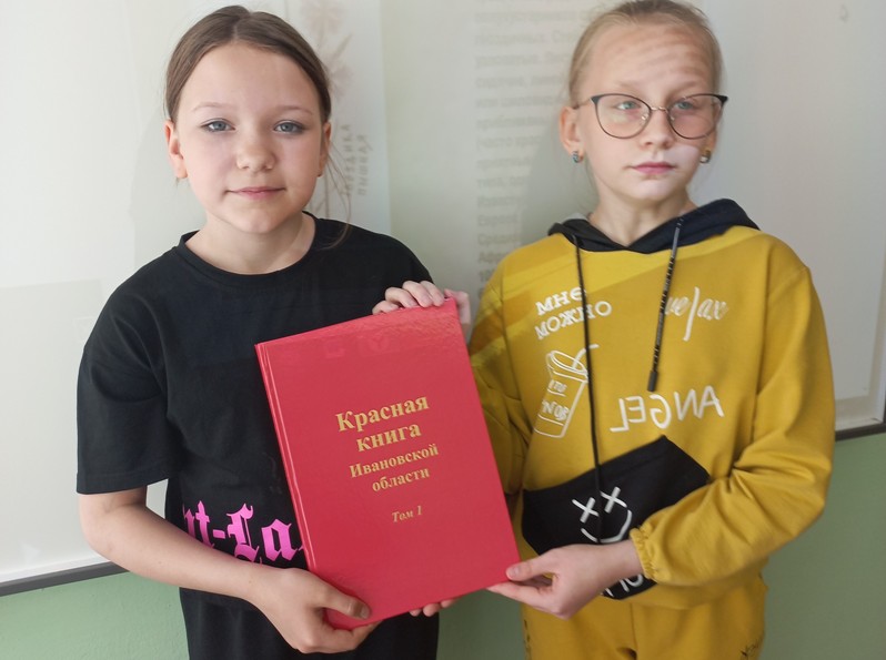Знакомство с «Красной книгой» Ивановской области.